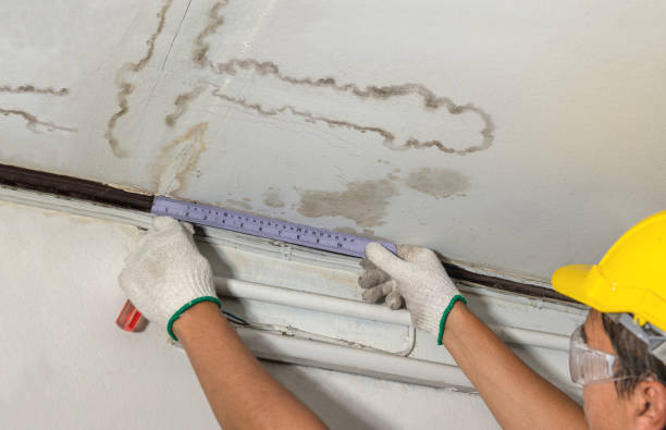 Reliable Water Damage contractor in Severance, CO by Water Damage Irwin